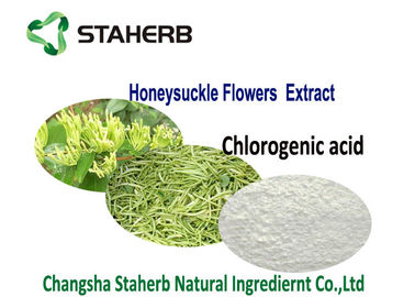 China 80%HPLC Pure Chlorogenic Acid Natural Plant Extract CAS 327 97 9 Health Products supplier
