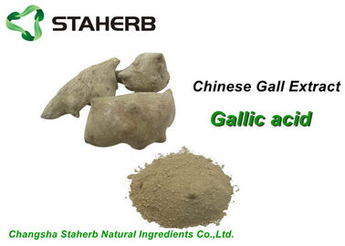 China Cosmetic Pure Natural Plant Extracts , Gallnut Extract Powder Gallic Acid CAS 149 91 7 supplier