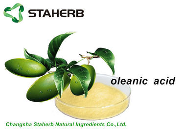 China Anti - Inflammmatory Antibacterial Plant Extracts Olea Extract Oleanic Acid CAS 508 02 1 supplier