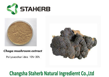 China Anti-Tumor Chage extract Male Enhancement Powder Mushroom Extract Powder supplier