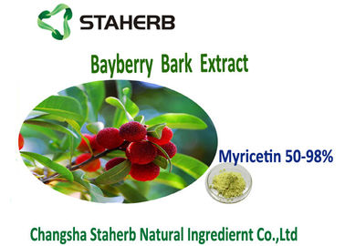 China Antioxidation Bayberry Bark Powder Extract Yellow Green Color Myricetin 50%-98% supplier