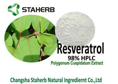 China Resveratrol 98% HPLC Polygonum Cuspidatum Root Extract Powder For Life Extension supplier