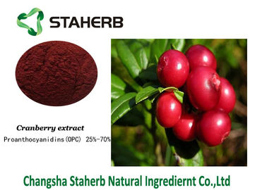 China Antiage Anthocyanidins Concentrated Plant Extract Cranberry Fruit Extract supplier