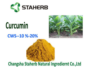China Natural Curcumin Organic Food Additives Turmeric Powder CWS - Curcumin 10% supplier