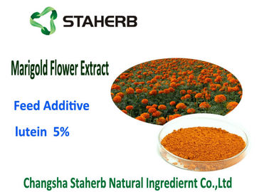 China Organic Phytogenic Feed Additives , Marigold Extract Lutein Powder Adjust Blood - Fat supplier