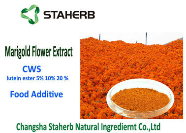 China Lutein Ester 5% Natural Food Additives , Marigold Flower Extract Water Souble supplier