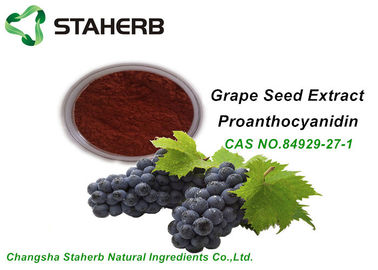 China Anti Oxidant Organic Makeup Ingredients Grape Seed Extract OPC 95% CAS 84929 27 1 supplier