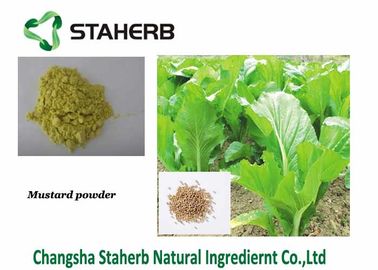 China Black / White Organic Mustard Powder Wasabi Seed Part Extraction Full Nutrition supplier