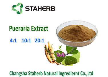 China Puerarin Kudzu Root Extract Herbal Extract Ratios Breast Enlargement Food / Pharm Grade supplier