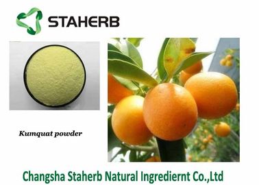 China Fruit Kumquat Powder Citrus Aurantium Extract Flavour Instant Food Additive supplier