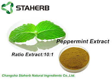 China Pure Nature Organic Peppermint Leaf Extract Brown Powder 10/1 Ratio By TLC supplier
