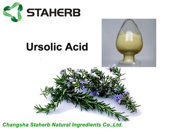 China Rosemary Extract Natural Cosmetic Ingredients , Ursolic Acid Powder Brown Color supplier