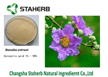 China Corosolic Acid Banaba Leaf Antibacterial Plant Extracts supplier