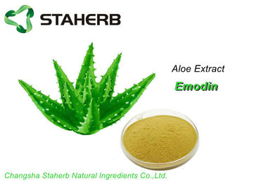 China Antiaging Aloe Vera Leaf Powder Emodin Anti - Inflammation For Cosmetic supplier
