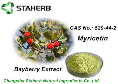 China Anti-inflammatory Bayberry Bark Extract Myricetin 98% Plant Extract Powder supplier
