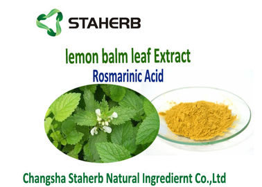China Lemon Balm Leaf Natural Herbal Extracts supplier
