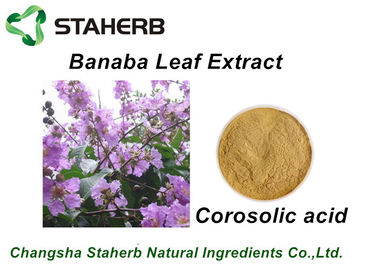 China Weight Losing Raw Materials Depressing Blood-fat Natural Banaba Extract Corosolic Acid Powder supplier