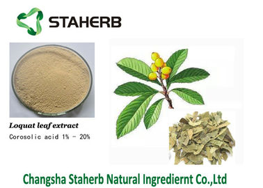 China Corosolic acid Concentrated plant extract Loquat leaf extract cas 4547-24-4 supplier