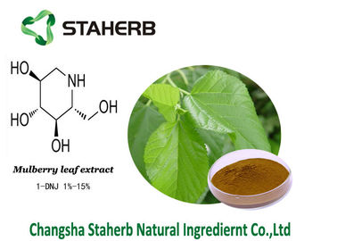 China 1-Deoxynojirimycin Antibacterial Plant Extracts Mulberry leaf extract supplier