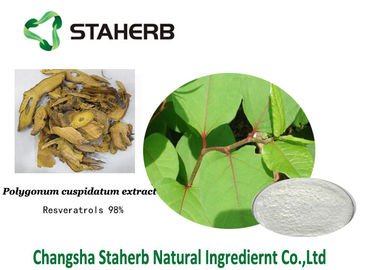 China Resveratrol Antioxidant dietary supplement Polygonum cuspidatum extract supplier