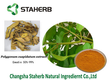 China Emodin Antibacterial Plant Extracts Polygonum cuspidatum extract 518-82-1 supplier