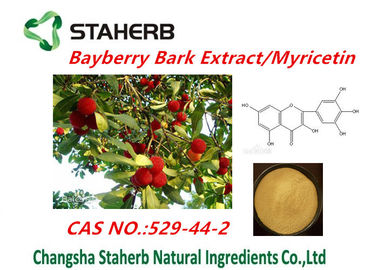 China Health supplement Pure Natural Plant Extracts bayberry bark extract of myricetin powder supplier