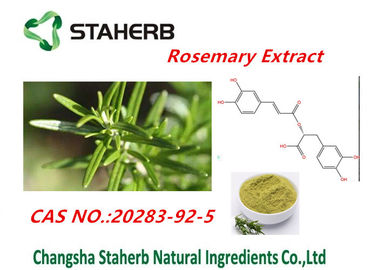 China 90% Rosmarinic Acid Rosemary Leaf Extract For Cosmetic Cas No.20283-92-5 supplier