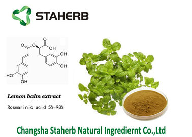 China 20283-92-5 Lemon Balm Extract , Rosmarinic Acid Antioxidant Kosher QS supplier