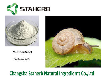 China Protein 60% Snail Extract Natural Cosmetic Raw Materials White Powder supplier