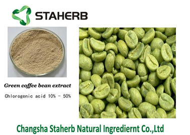 China Chlorogenic Acid , Weight Losing Green Coffee Bean Extract CAS NO 327-97-9 supplier