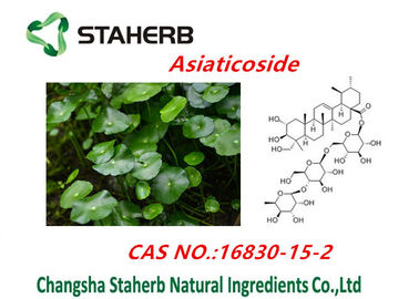 China Centella Asiatica Extract / Pure Natural Plant Extracts Asiaticosides Powder supplier