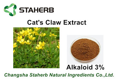 China Herbal Extract Antibacterial Cat's Claw Extract Alkaloid 3% - 5% For Pharma supplier