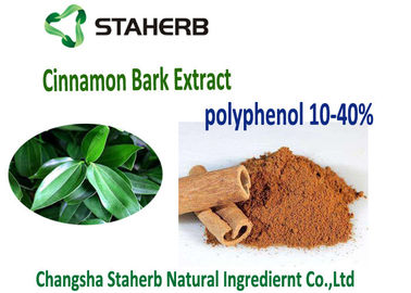 China Kosher Antioxidant Dietary Supplement Cinnamon Bark Extract 10-30% Cinnamon Polyphenols supplier