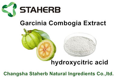 China Weight Losing Garcinia Cambogia Extract Hydroxycitric acid HCA For Healthy Care supplier