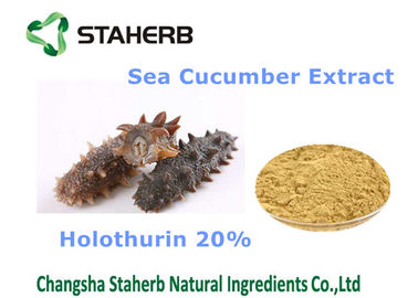 China Sea Cucumber Extract Natural Cosmetic Ingredients Holothurin 20% For Cosmetic supplier