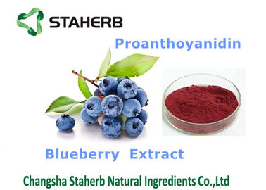 China Blueberry Extract Antioxidant Dietary Supplement Enhance Immune System Ability supplier