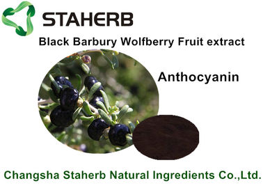 China Black Barbary Wolfberry Fruit Extract , Natural Food Ingredients For Beverage supplier