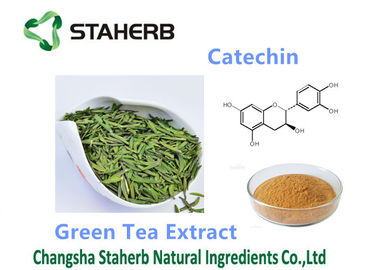 China Green Tea Extract Antioxidant Dietary Supplement Catechin 50-98% Powder supplier