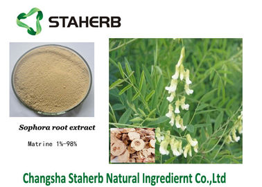 China Agriculture Field Sophora Flavescens Extract Matrine 98% White Powder supplier