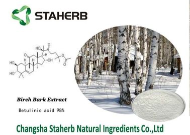 China Betulinic Acid Birch Bark Extract , Herbal Reference Standards Antitumor supplier