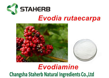 China Evodia Rutaecarpa Extract Organic Plant Extracts Evodiamine Powder For Pharmaceutical supplier