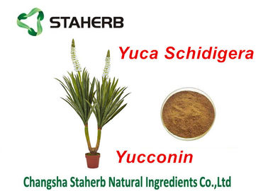China Yucca Schidigera Extract Natural Feed Additives Yocoin Yucca Powder supplier