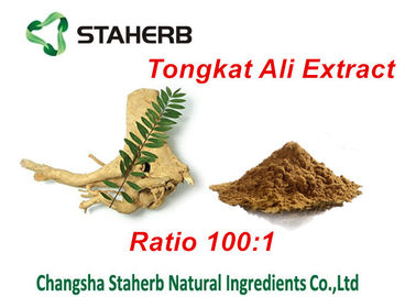 China Tongkat Ali Extract Natural Male Enhancement Ingredients , Herbal Male Enhancement supplier