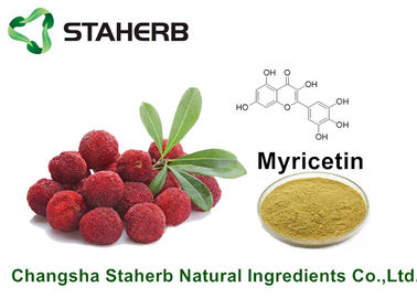 China Bayberry Bark Pure Natural Plant Extracts Myricetin 98% For Health Product By HPLC supplier