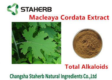 China Antibacterial Plant Macleaya Cordata Extract Total Alkaloids 20%-60% Brown Color supplier