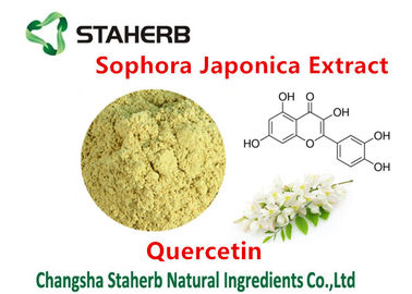 China Sophora Japonica Extract Extracting Chemicals From Plants Quercetin 98% supplier