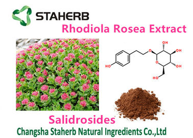 China Female Health Rhodiola Rosea Extract Pure Natural Plant Extracts Salidrosides 3% supplier