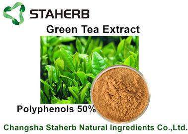 China Yellow Brown Powder Natural Plant Extracts Green Tea Extract Polyphenols 50% By HPLC supplier