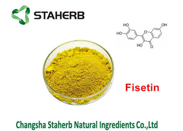 China Cotinus Coggygria Green Plant Extract Smoketree Extract Fisetin 50% - 95% supplier