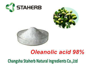 China Olea Europaea Leaf  Herbal Extract Powder , Organic Plant Extracts Oleanolic Acid 98% supplier